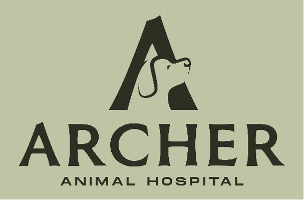 Archer Archer